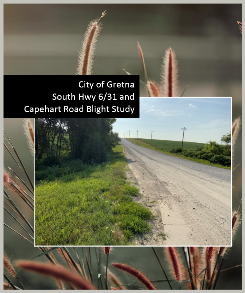 Website  - Blight Study