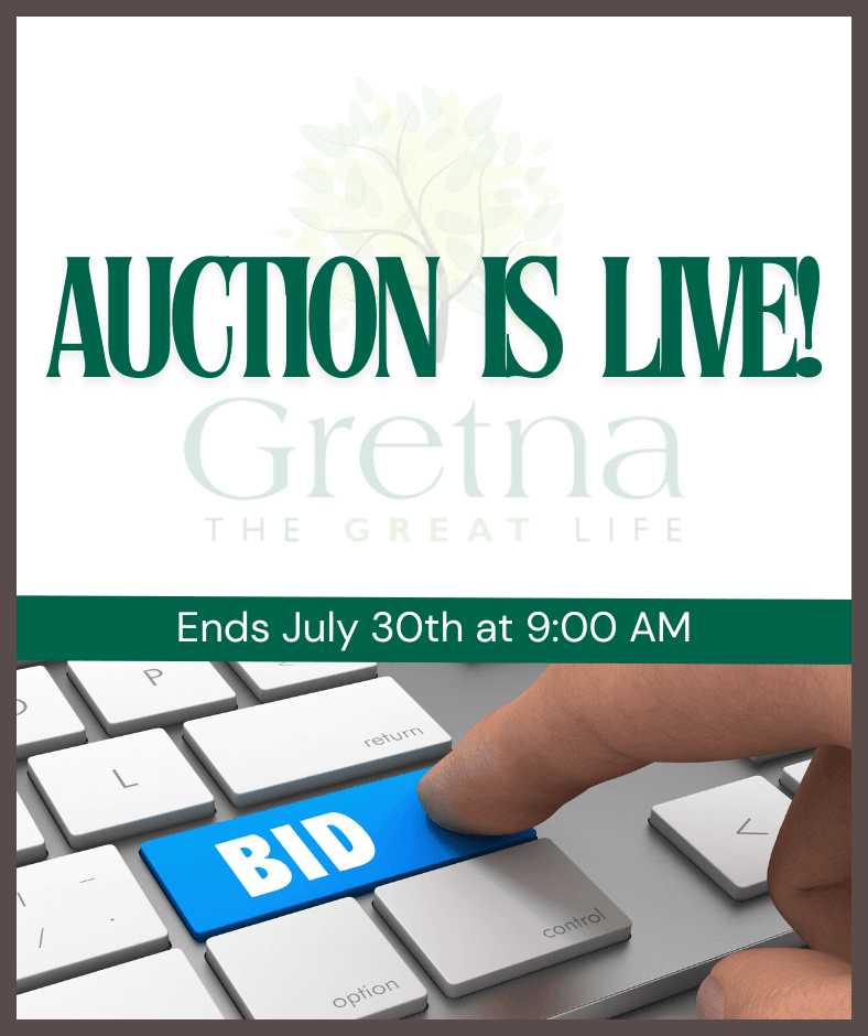 AUCTION surplus city items Website (1)