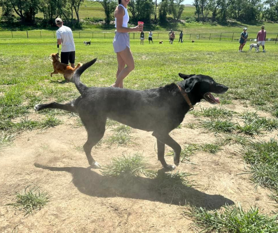 Untitled design (30)